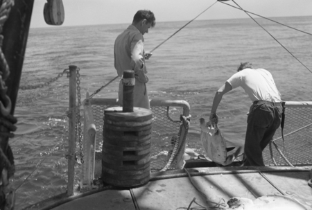 [Two men with sea turtle on deck of R/V Spencer F. Baird]