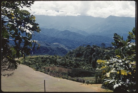 Tabibuga airstrip, with gardens and Bismarck Range in background