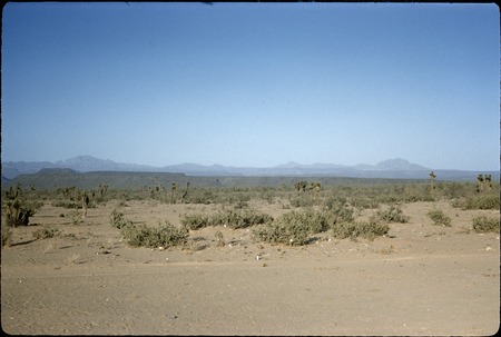 Sierra de San Francisco from Rancho Los Angeles