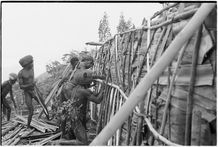 House-building for Rappaports: men in barkcloth caps add stakes and pandanus leaf siding to wall