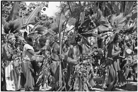 Pig festival, singsing, Kwiop: close up of decorated men with feather headdresses dancing in line to rhythm of kundu drums