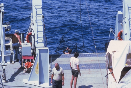 Isaacs Fishing Party, June 1971 [Men with fish trap on R/V Melville]