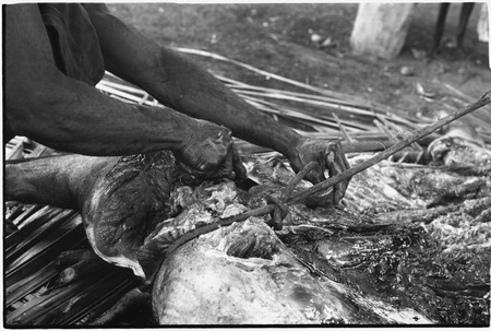 Ambaiat: Dagabun butchers pig killed for damaging garden