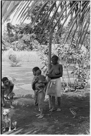 Ambaiat: women and children with dog and cassowary chick