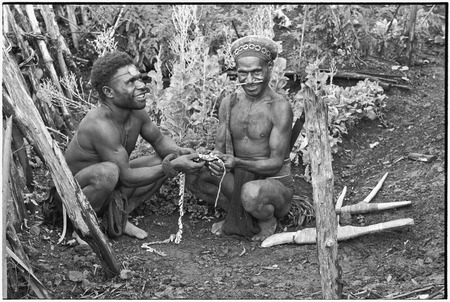 Ritual exchange: men with cowrie shell band, note stone adzes on right