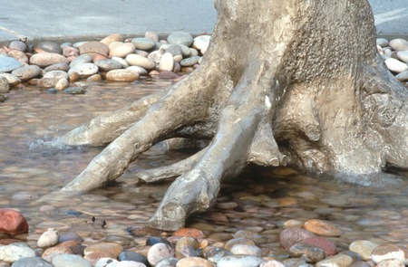 Standing: detail view of base of cast tree with roots, water and stones