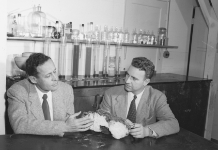 Roger Revelle and Robert Dietz, co-chief scientists on the MidPac Expedition of 1950, discussing significance of lithified...