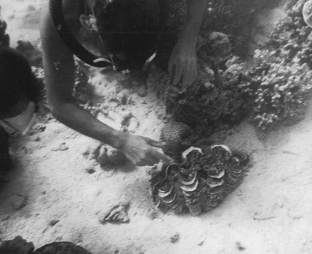 Diver points to clam shell during the Capricorn Expedition