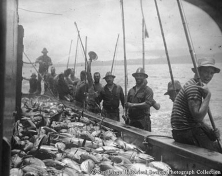 Tuna fishermen with bamboo poles and full catch on tuna