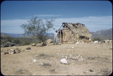 Abandoned Kiliwa house at Arroyo León