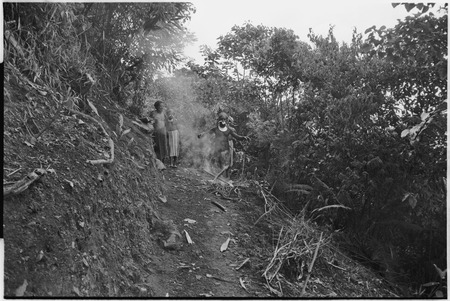 Pig festival, stake-planting, Tuguma: men in garden site expel enemy spirits, bamboo (center) explodes