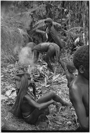 Pig festival, uprooting cordyline ritual, Tsembaga: women place foods for ritual meal onto leaves over hot stones