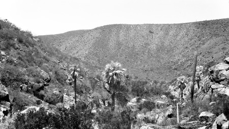 Facing down the canyon toward Socorro, with a high plateau in the distance