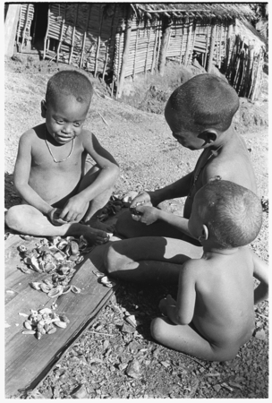 Three children eating ngari nuts, cannarium almonds.