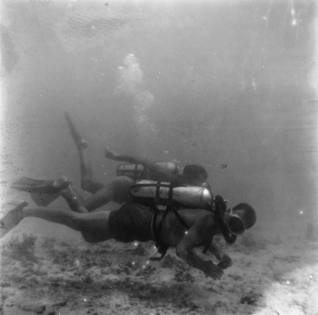 Divers near the ocean floor off Vava&#39;u Island, Tonga