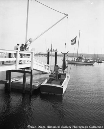 Bob Newton&#39;s marlin being hoisted from boat to dock