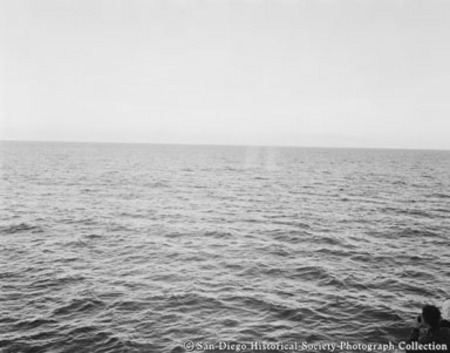 Whale watching tour off Point Loma coast