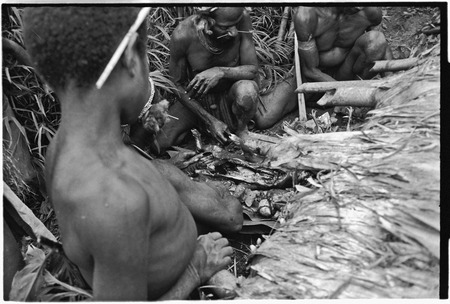 Pig festival, stake-planting, Tuguma: men prepare ritual meal with small sacrificial pig