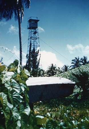 Tower covered with Japanese tuba vine, Bikini, Marshall Islands