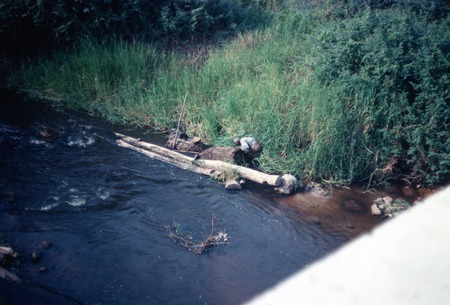 Choma River seen from bridge at Kaputa