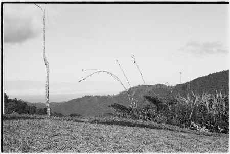 Tinami area, Inland Bunabun: landscape between Tinami and Atitau