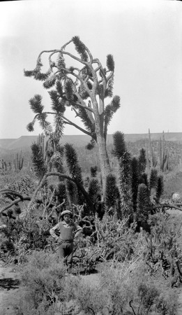 Yucca plant with Edmundo Sandes, standing