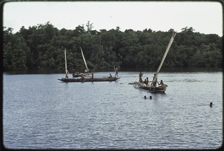 Fishing: canoes returning to inlet near Tukwaukwa, sails furled, children swim out to meet them