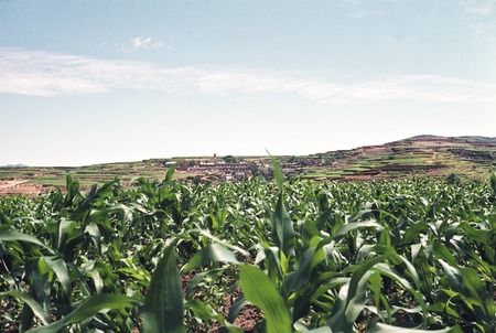 Corn Fields, Village in the Distance, Dazhai Brigade