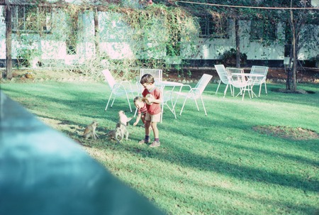 Children and vervet monkeys at Motel in Chirundu, Zimbabwe