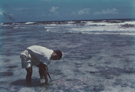 Richard Y. Morita served as a microbiologist during the MidPac Expedition (1950), is shown here doing some sampling field ...