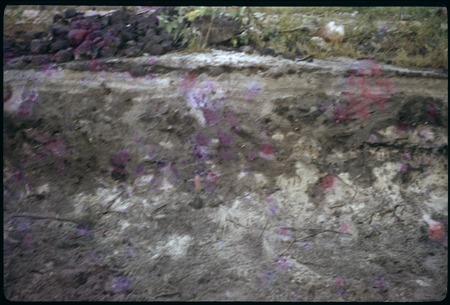 Archaeological excavation: flawed image of Phillips site