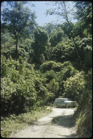 Old road to El Cuarenteño
