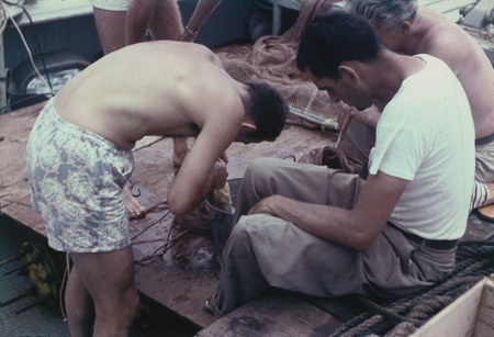 Unidentified men on deck of the R/V Horizon shown here examine the contents of a bucket during the MidPac Expedition (1950...