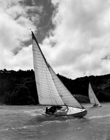 Fourth of July sailing race, off Shell Beach, Tomales Bay State Park, Marin Co., California, 1950&#39;s