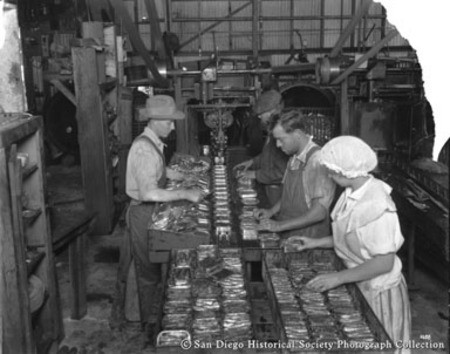 Packing and sealing cans of sardines at [San Pedro Packing Company?] cannery