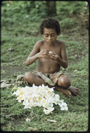 Girl making garland or lei of frangipani (plumeria) flowers