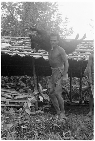 Young man carrying pig.