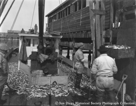 Two men on boat unloading fish at Neptune Sea Food Company cannery