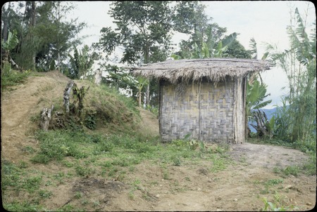 Jimi River area, panoramic view 01: small building beside a footpath