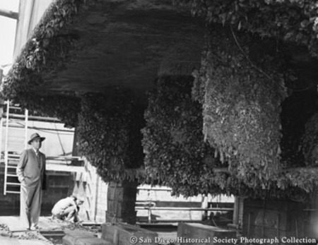 Man looking at boat hull covered with barnacles at San Diego Marine Construction Company