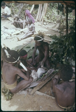 Pig festival, uprooting cordyline ritual, Tuguma: men butcher cassowary sacrificed in ancestral shrine