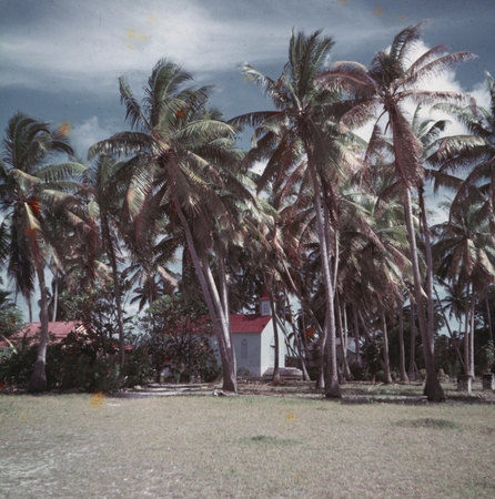 A church among palm trees