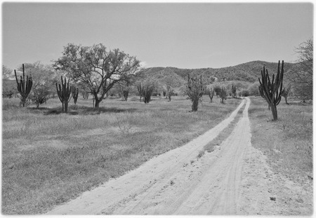 Valley between Rancho Sauzito and Rancho El Pintado in Todos Santos area