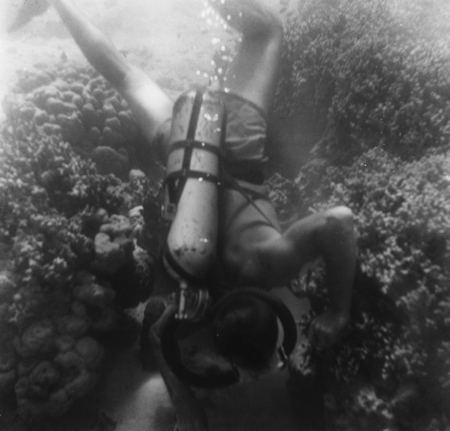 Underwater field work off Vava&#39;u, Tonga