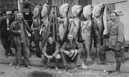 Group portrait of fishermen with catch of giant sea bass
