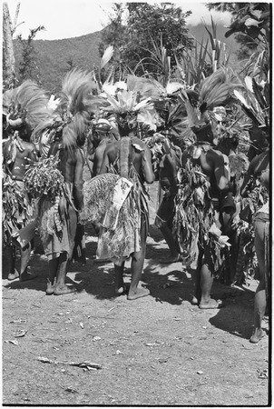 Pig festival, singsing, Kwiop: decorated men with feather headdresses dance