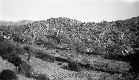 The upper cañon of Arroyo Léon, by Emiliano&#39;s settlement, a mile and a half downstream from Janielja&#39;