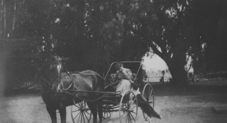 [Woman with horse and buggy]