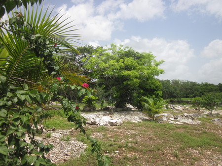 Milpa to right of road from Muxupip to Euán 01
