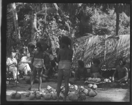 Ritual Presentation of food, Rennell Island